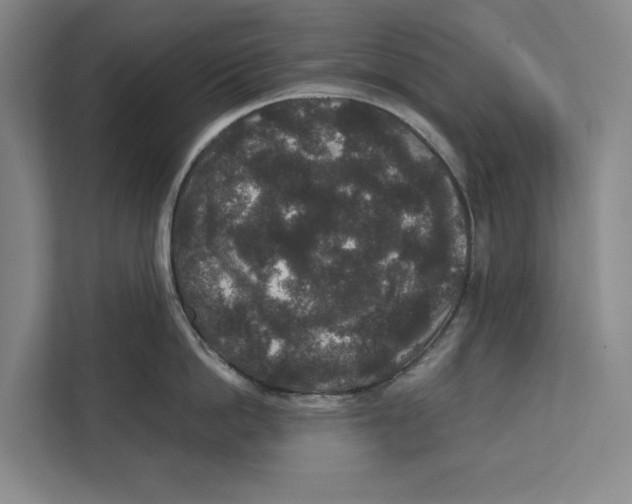 X0000111840862200908201215