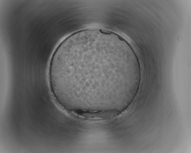 X0000111840864200908201215