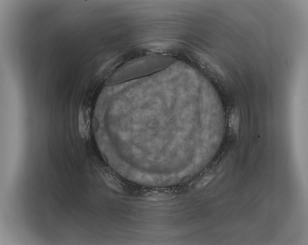 X0000111840868200908201215