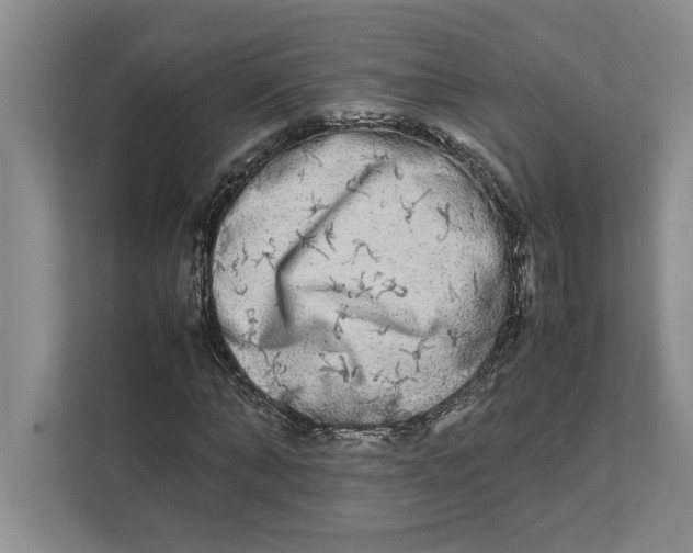 X0000111840870200908201215