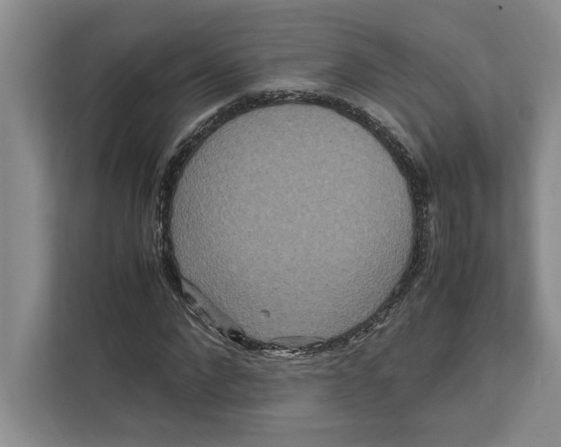 X0000111840872200908201215