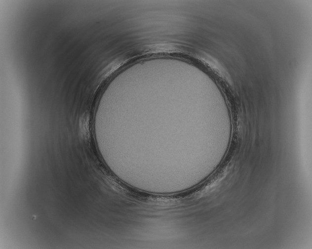 X0000111840873200908201215