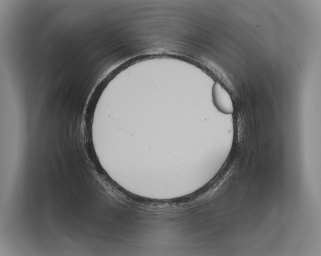 X0000111840876200908201215