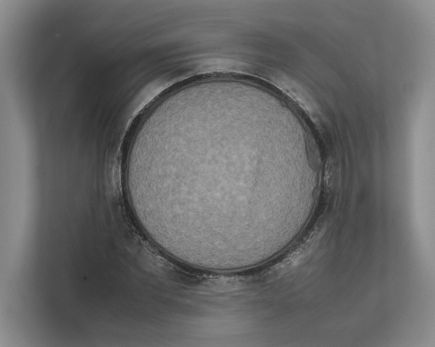 X0000111840877200908201214