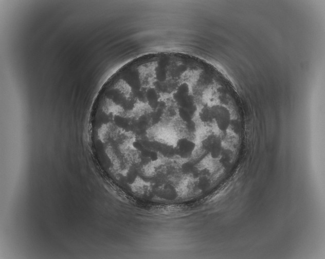 X0000111840879200908201214