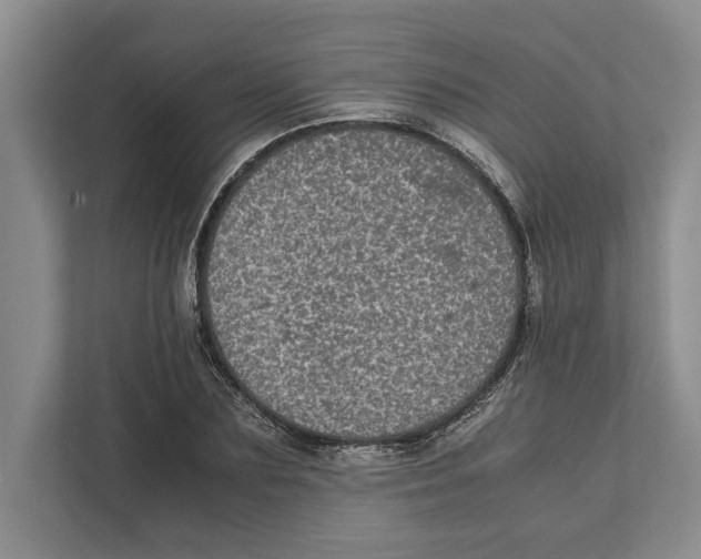 X0000111840883200908201214