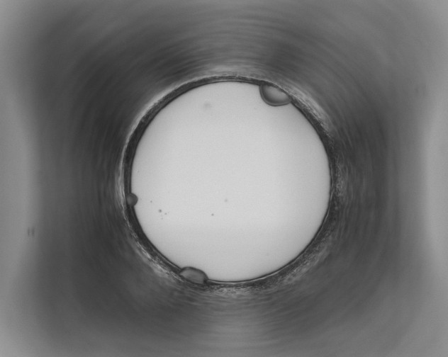 X0000111840888200908201214