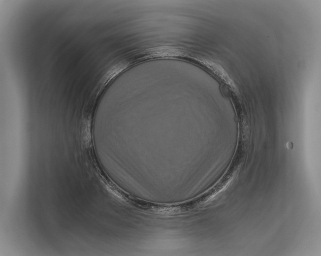 X0000111840889200908201214