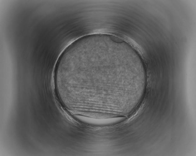 X0000111840892200908201214