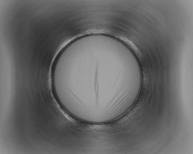 X0000111840894200908201214