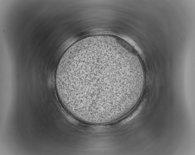 X0000111840897200908201214