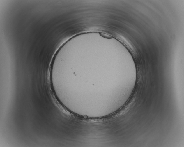 X0000111840900200908201214