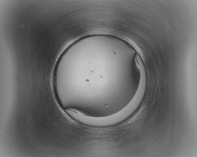 X0000111840901200908201214