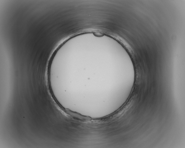 X0000111840902200908201214