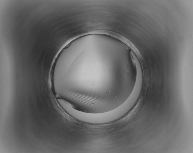 X0000111840908200908201214