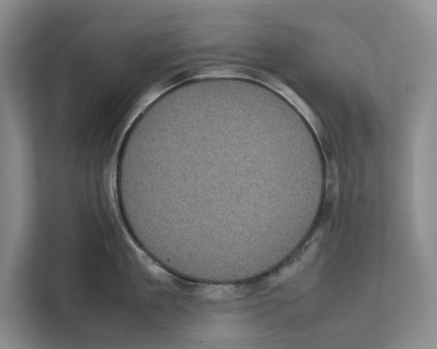 X0000111840909200908201214