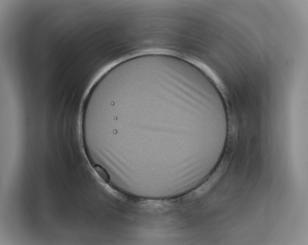 X0000111840910200908201214