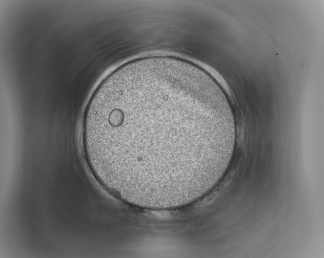 X0000111840911200908201214