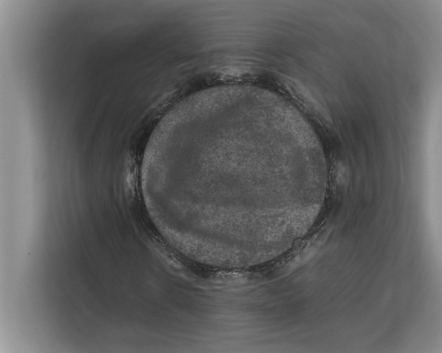 X0000111840914200908201213