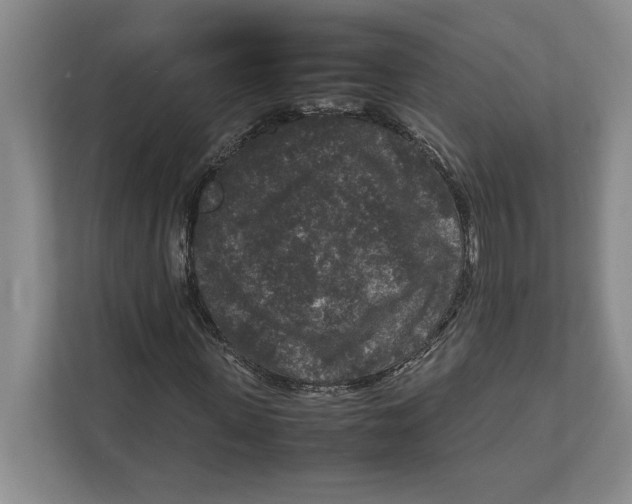 X0000111840915200908201213