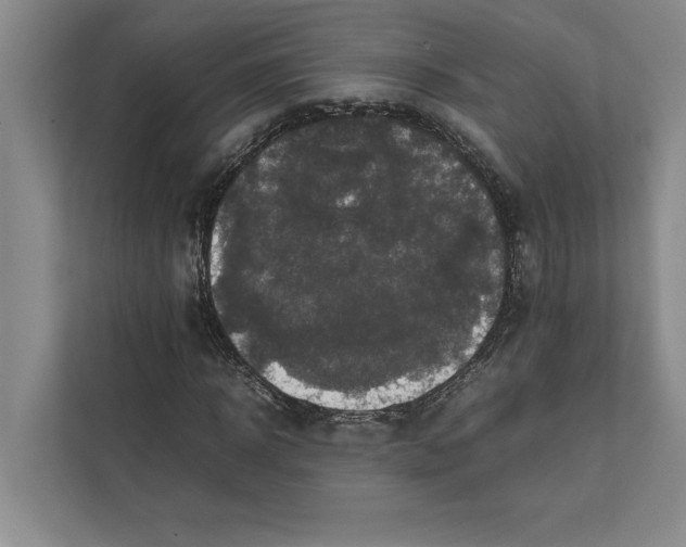 X0000111840918200908201213