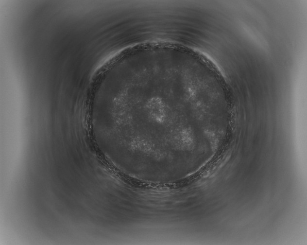 X0000111840919200908201213