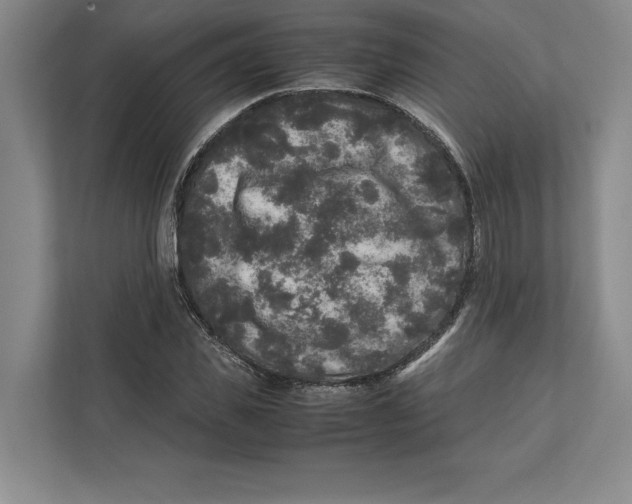 X0000111840925200908201214