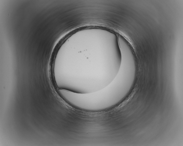 X0000111840928200908201214