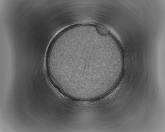 X0000111840932200908201214