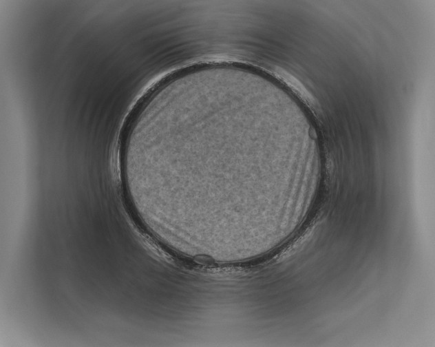 X0000111840934200908201214