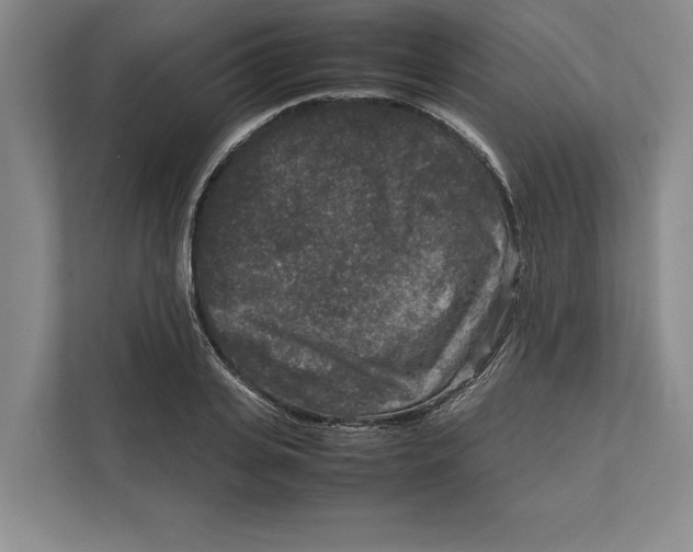 X0000111840935200908201214