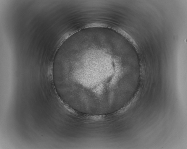 X0000111840937200908201214