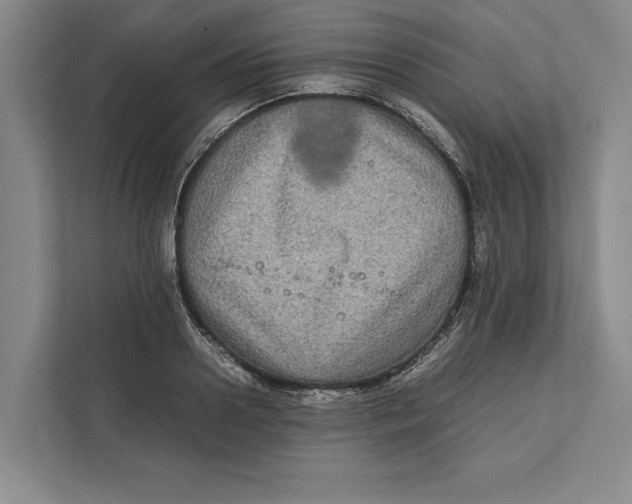 X0000111840938200908201214