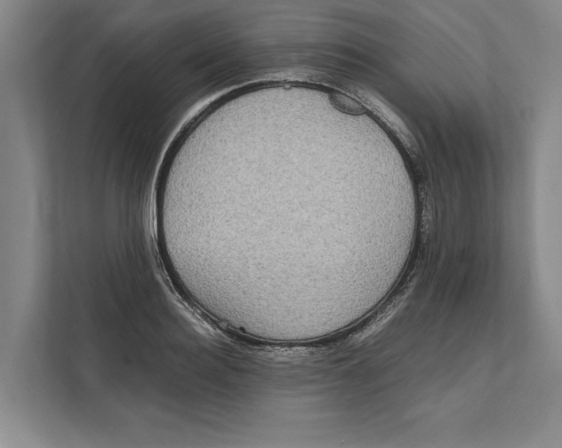 X0000111840940200908201214