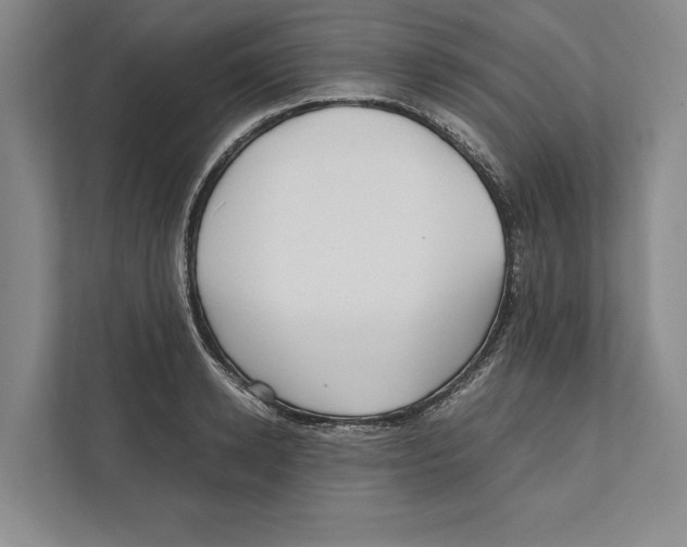 X0000111840942200908201214