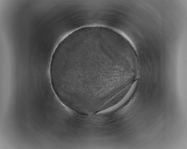 X0000111840943200908201214