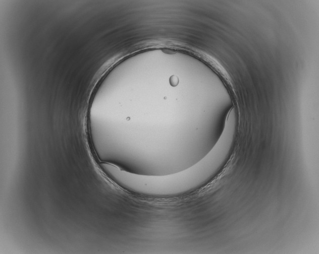 X0000111840946200908201214