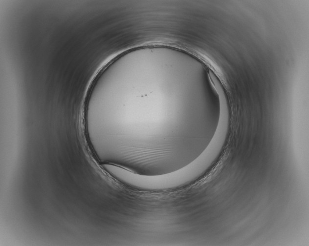 X0000111840948200908201214