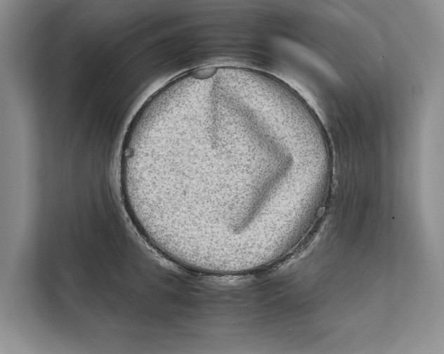 X0000111840949200908201214