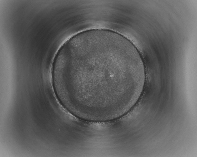 X0000111840950200908201214