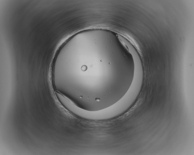 X0000111840952200908201214