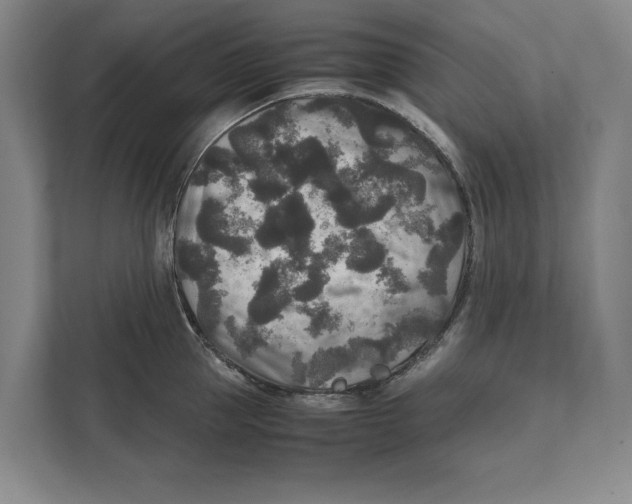 X0000111840953200908201214