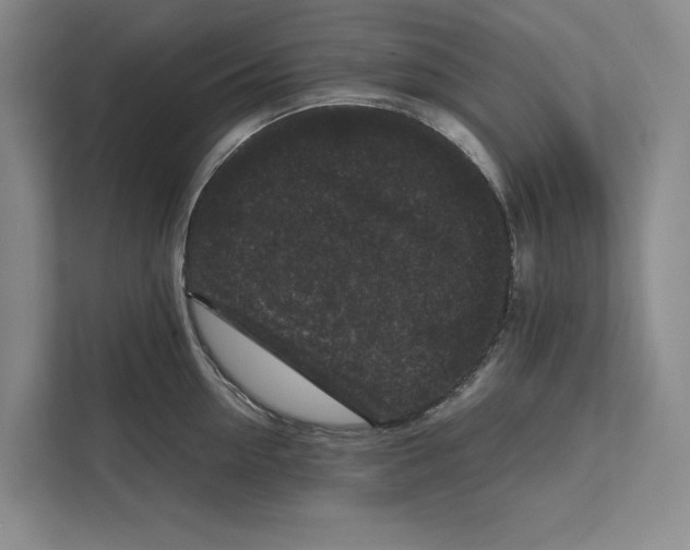 X0000111840954200908201214