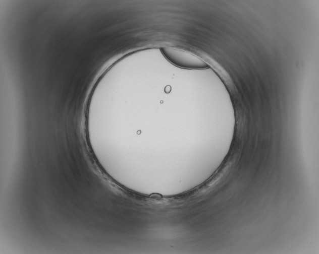 X0000111840956200908201214