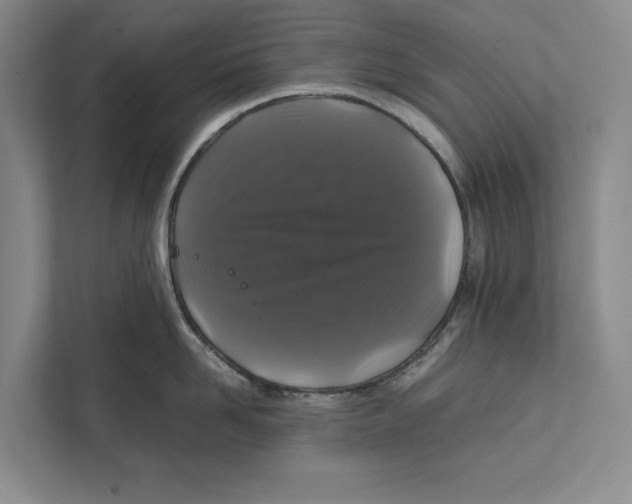 X0000111840958200908201214