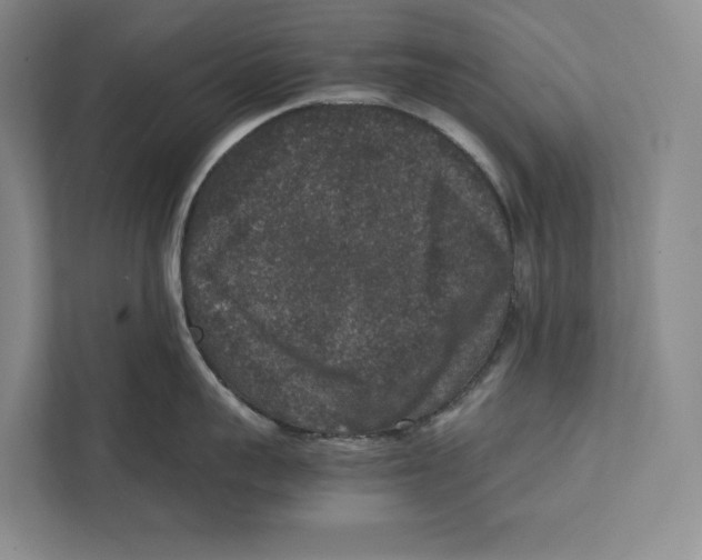 X0000111840959200908201214