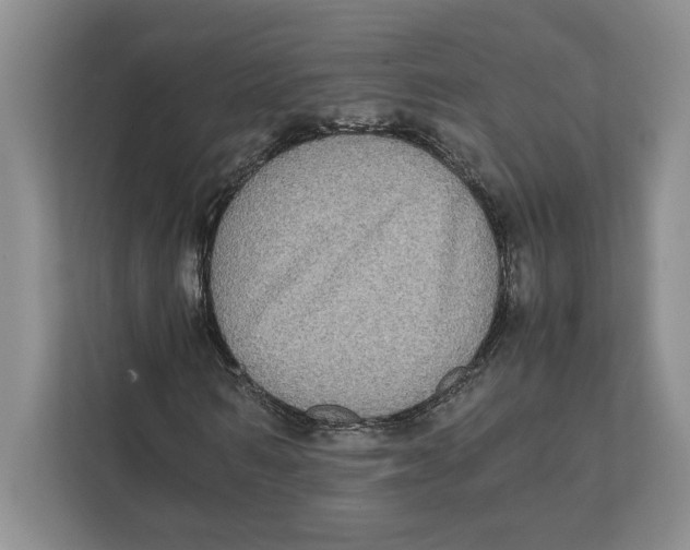 X0000111840962200908201213