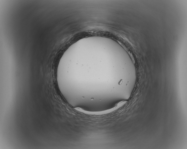 X0000111840965200908201213