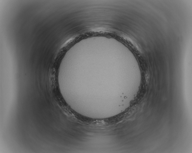 X0000111840968200908201213