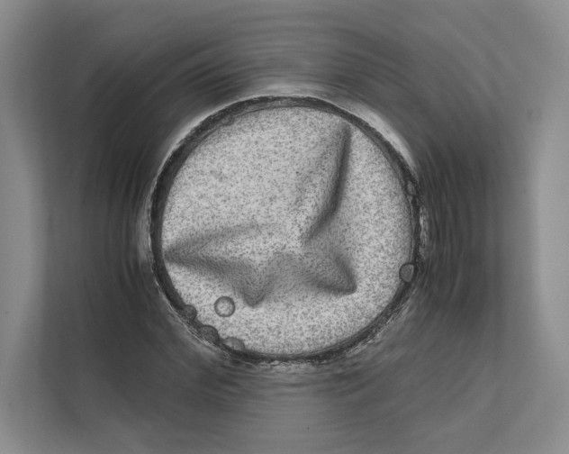 X0000111840972200908201213